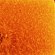Image for article titled Some of the Most Spectacular Astronomy Images of 2018